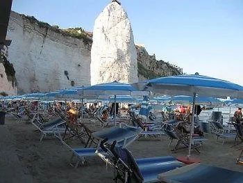 Hotel Mediterraneo 4*